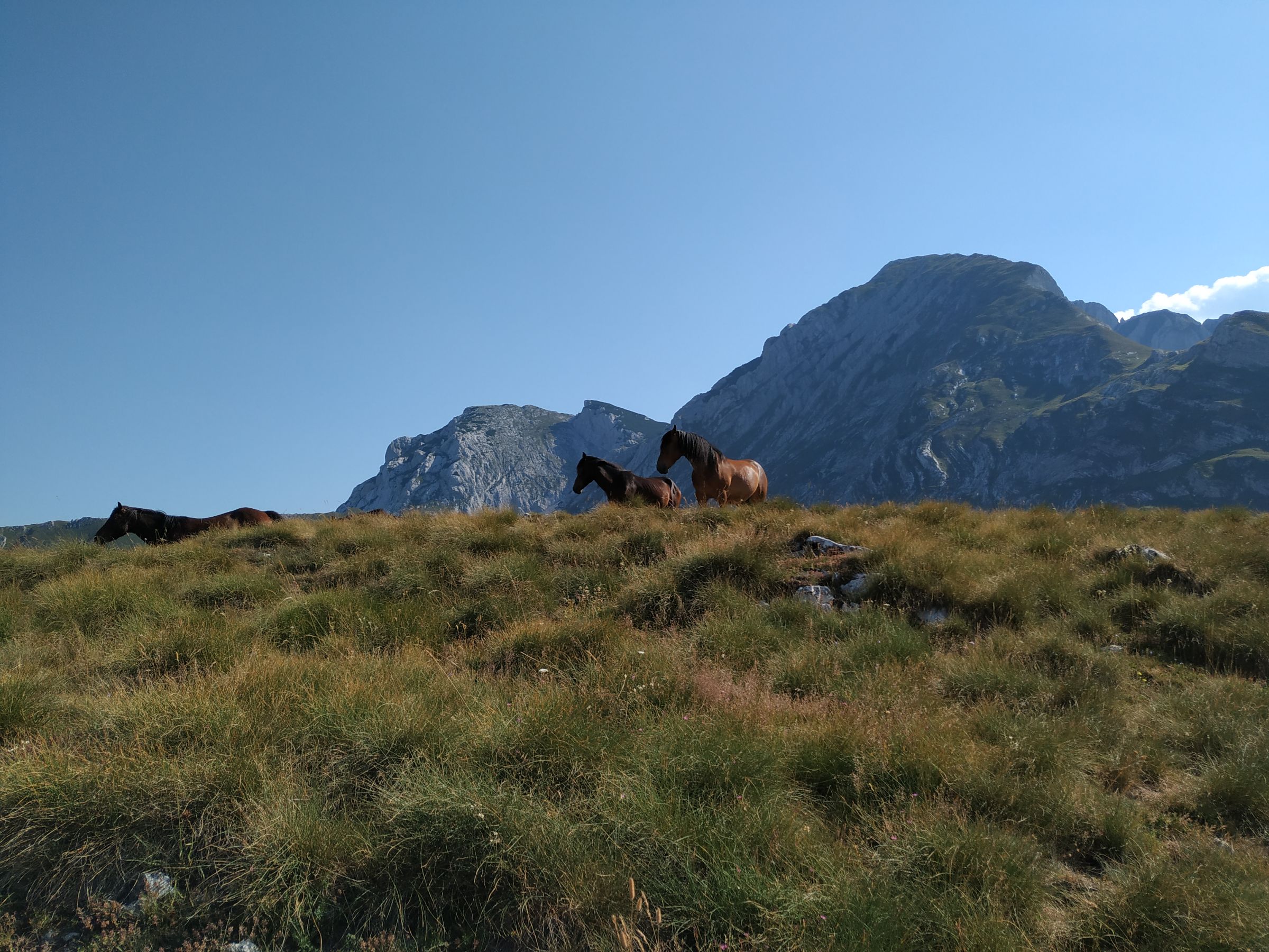 Durmitor's glacier-carved peaks rising above the high plateau
