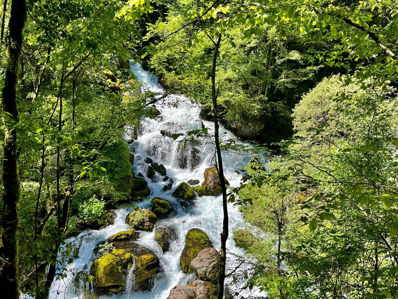 Turquoise river running through the white cliffs of Mrtvica Canyon